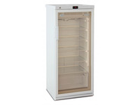 Фармацевтический холодильник Бирюса 250S-GB5G1B